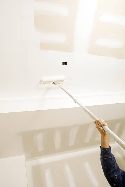 Best Black Mold Removal  in South Berwick, ME
