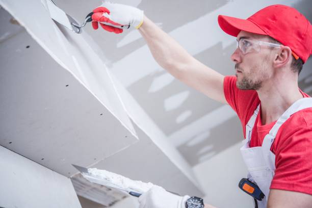 Best Commercial Mold Inspection  in South Berwick, ME